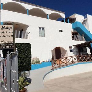 Hospedaje Mulege